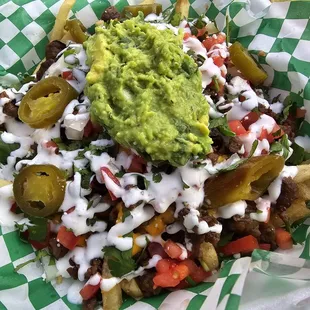 Carne asada fries