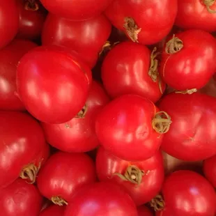 What tomatoes are supposed to look like.
