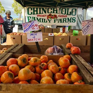 Chinchiolo Family Farms