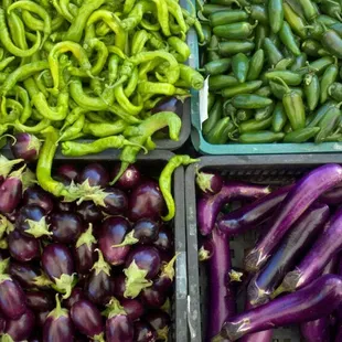  variety of vegetables