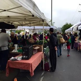 Nice sized crowd today