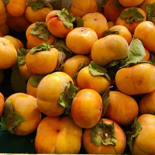 Persimmons