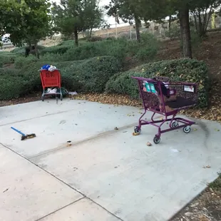 There are two people currently living at the park. They keep a tidy campsite and keep to themselves.