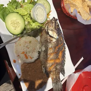 Fried Talapia with rice beans and side salad