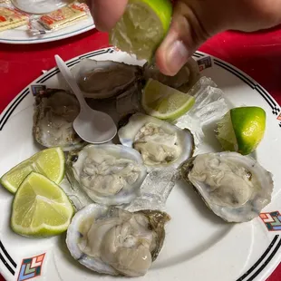 Media docena de Oysters