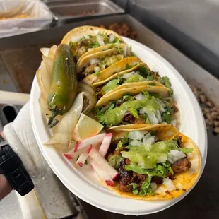 a person holding a plate of tacos