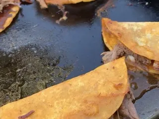 Tacos yo Mama