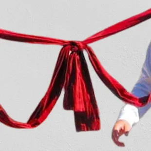 Veracruz red cinta for la bamba