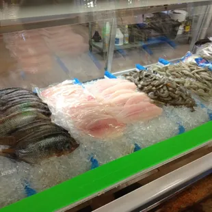 Fish counter