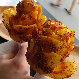 a hand holding a fried plant