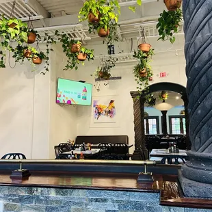 a bar with plants hanging from the ceiling