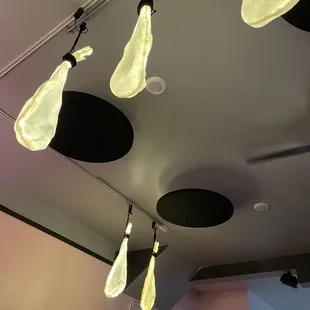 Ham lights
