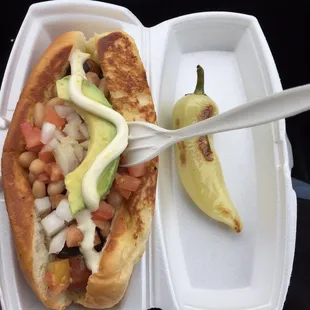Sonora Dog
