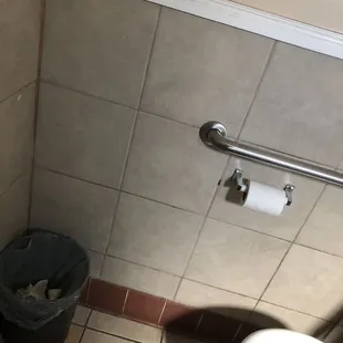 Trash can, toilet paper roll and toilet