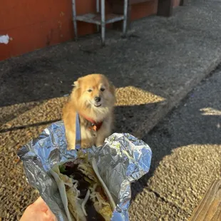 Breakfast Taco