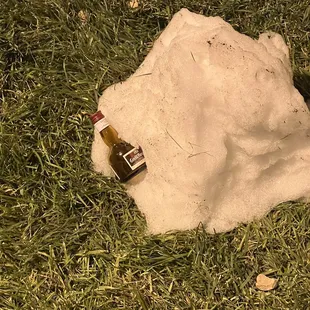 It&apos;s Halloween and someone left a treat out front in the snow.   I had the sample which was also a nice treat.