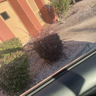 Drive thru
