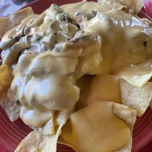 Carne asada nachos?? Looks like something from a little league snack shack. Tasted awful. Like metal