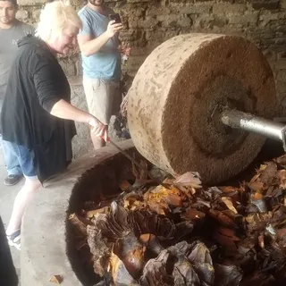 BUHO BOTELLITA