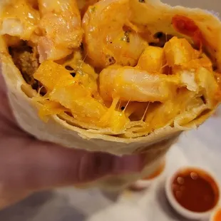 a hand holding a burrito