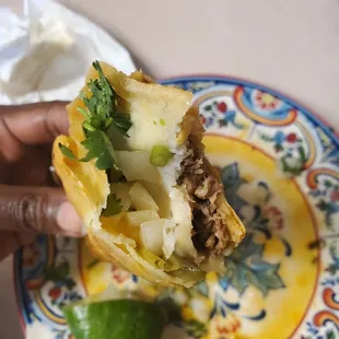 a hand holding a burrito