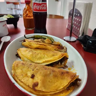 Fantastic Quesa Birria
