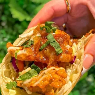 Award  Winning TACOS