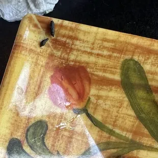 MICE DROPPINGS IN THERE FOOD