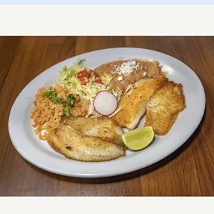 Fish plate
