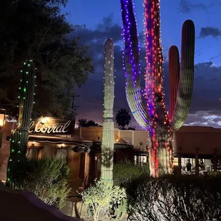 Beautiful Desert landscape