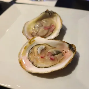 Oysters with Red Wine Remulade