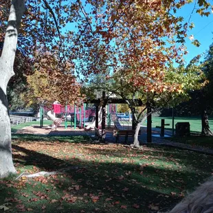 a playground in the fall