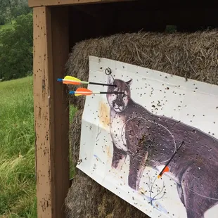 Sometimes I have to show off at 45yards.