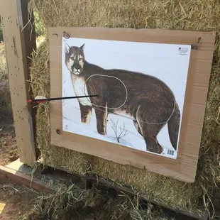 I enjoyed the evening quite and peaceful