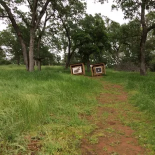 Lots of walking all over