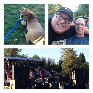 Summer concert series.