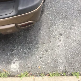 Several faint lines in the parking lot. People just park as they can