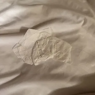 The hotel staff told me that she PERSONALLY changed the sheets and that was not there; therefore, I was a liar and planted that there.