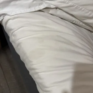 What disease doesn't this test positive for?