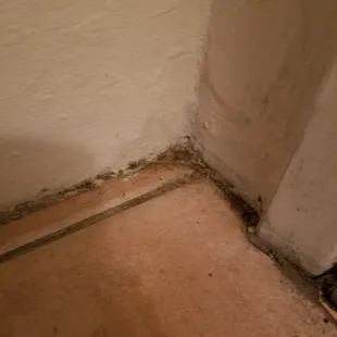 Visible dirt and grime build up found throughout apartment.