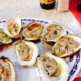 a plate of oysters