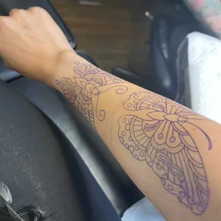 Traditional style butterflies by Brian