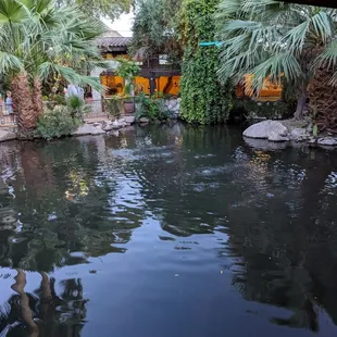 Pond