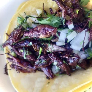 Chapulines Taco