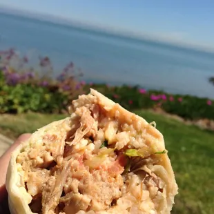Carnitas Burrito