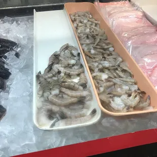 Shrimp