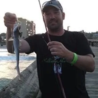 Steve F.