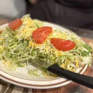 Salad Burrito
