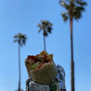 Super Burrito: Carne Asada (02/2021)