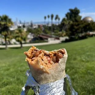 burritos and wraps, food, burrito, wraps